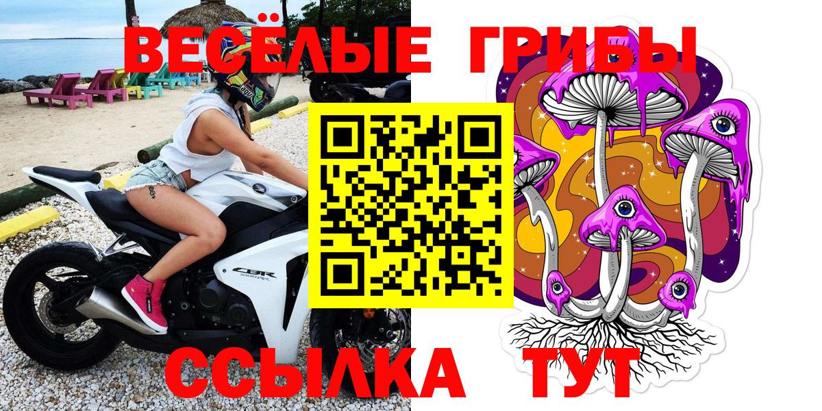 Псилоцибиновые грибы Magic Shrooms  Вход с VPN  Галлюциногенные грибы GOLDEN TEACHER  Асино 